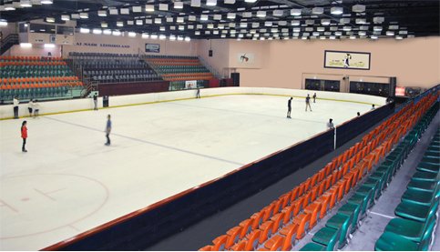 A View of the Ice Rink